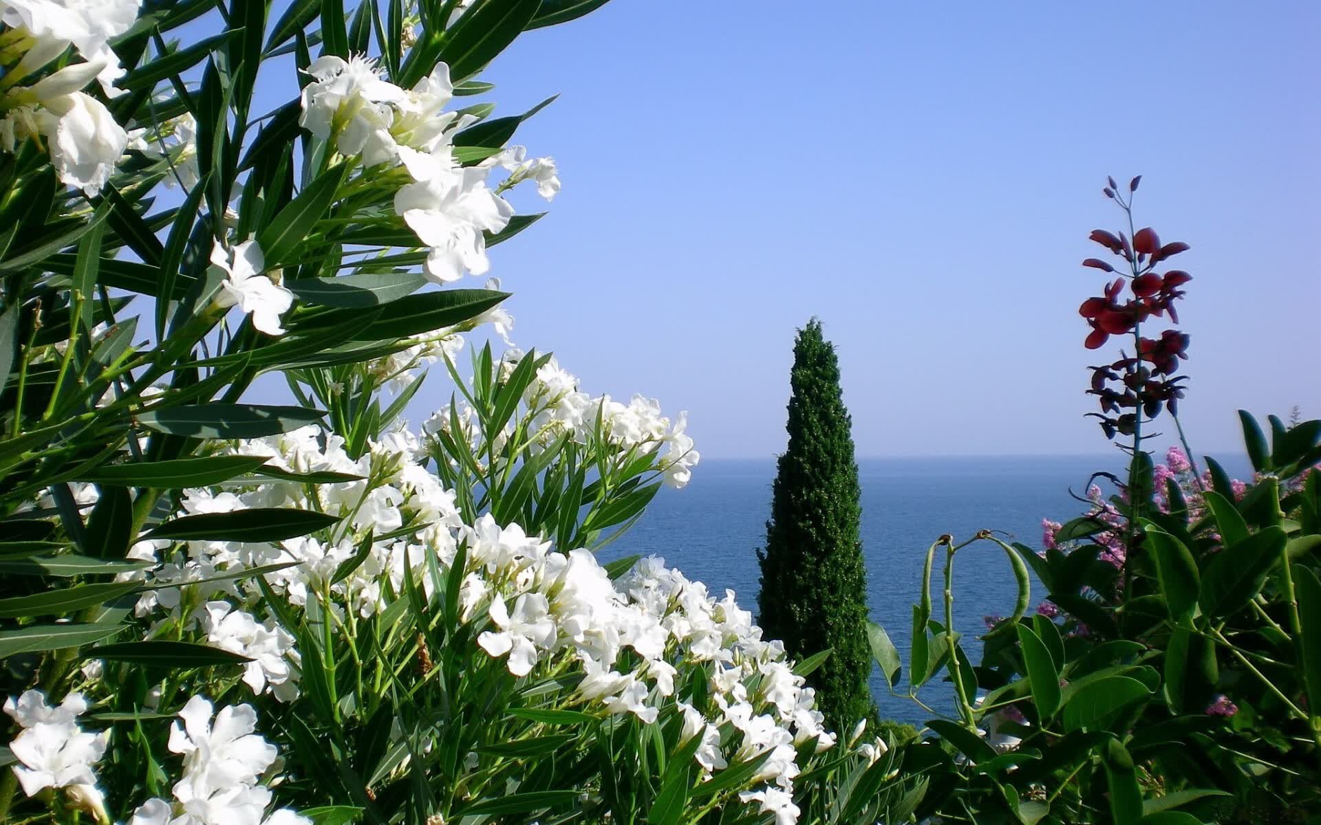 世界登山青年导师长期追踪研究第38期数据摘要发布,世界登山大师